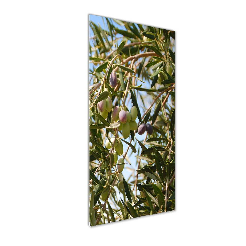 Tableau sur verre Olives sur un arbre