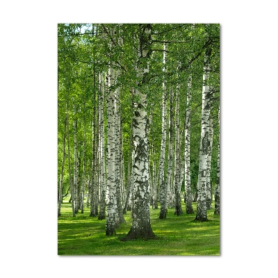 Tableau en verre Les forêts de bouleaux