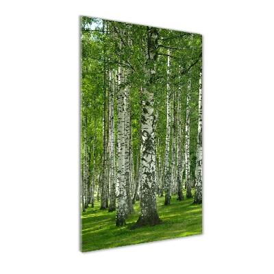 Tableau en verre Les forêts de bouleaux