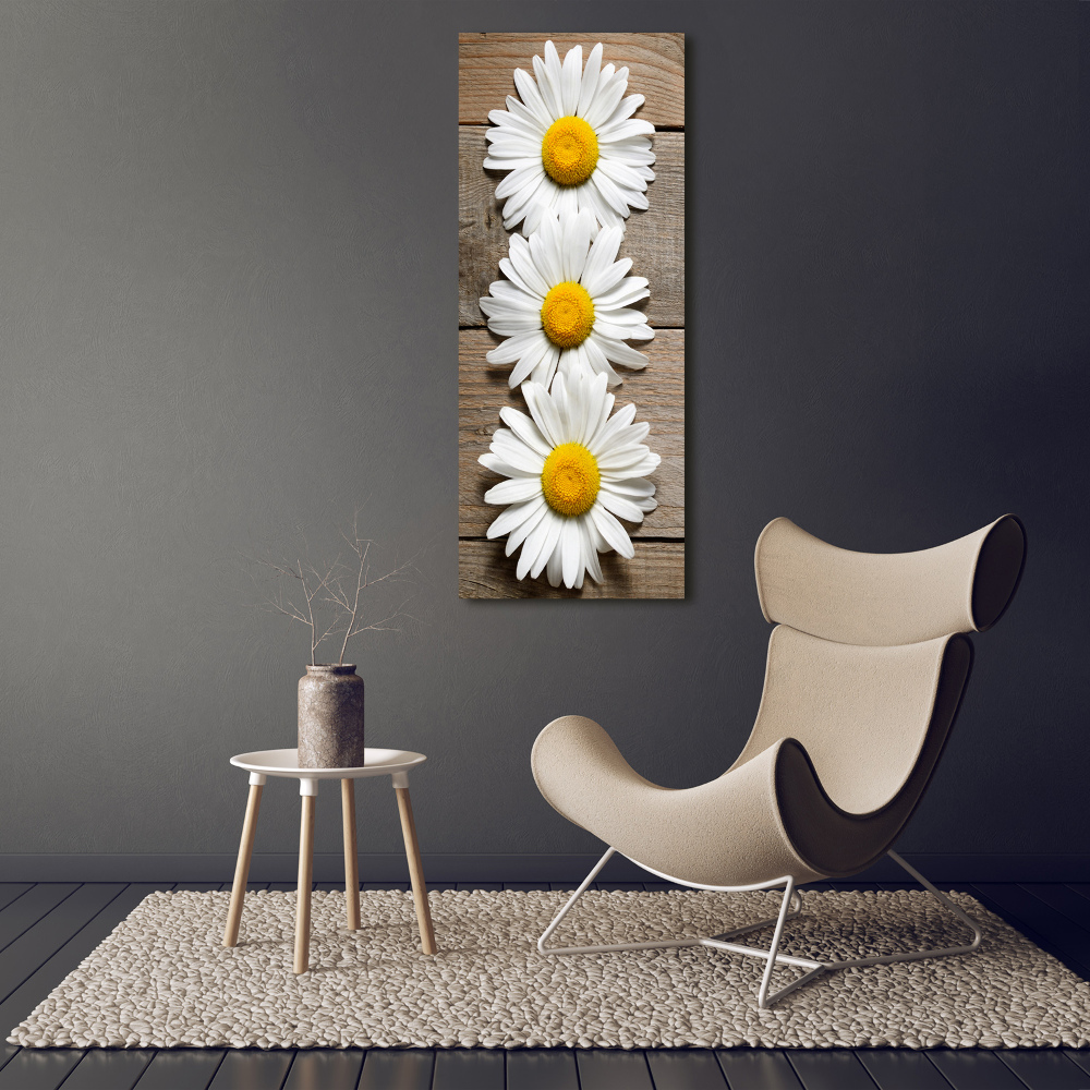 Tableau imprimé sur verre Camomille sur bois