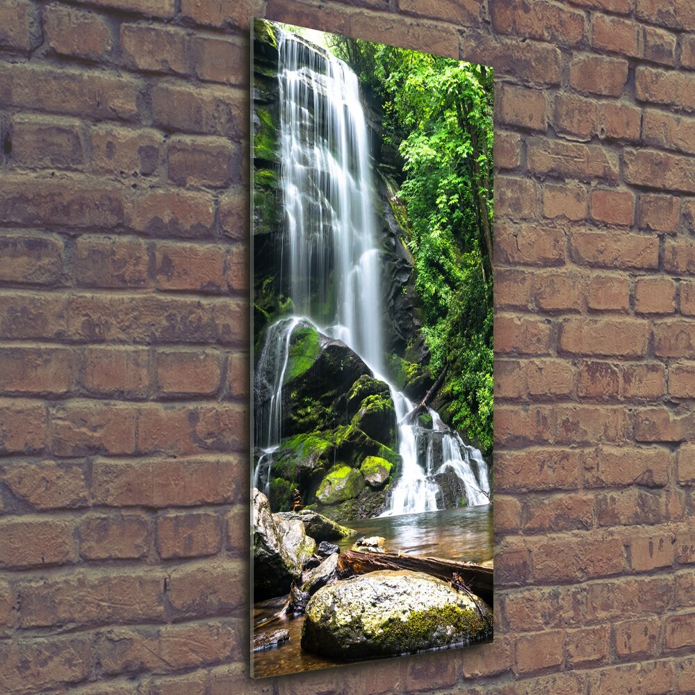 Tableau verre imprimé Cascade dans la jungle