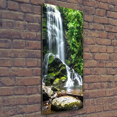 Tableau verre imprimé Cascade dans la jungle