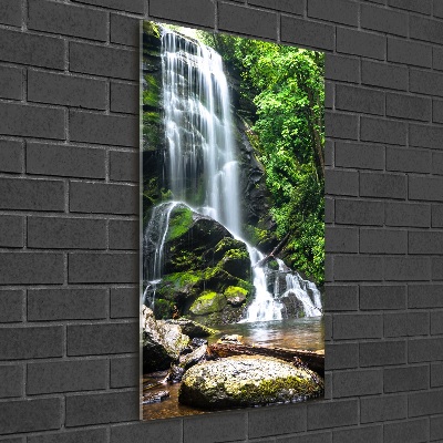 Tableau verre imprimé Cascade dans la jungle