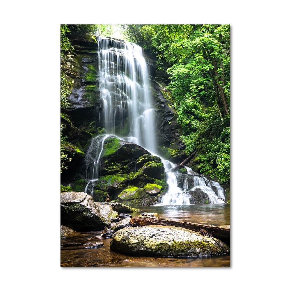 Tableau verre imprimé Cascade dans la jungle