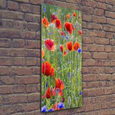 Tableau photo sur verre Fleurs de coquelicots rouges