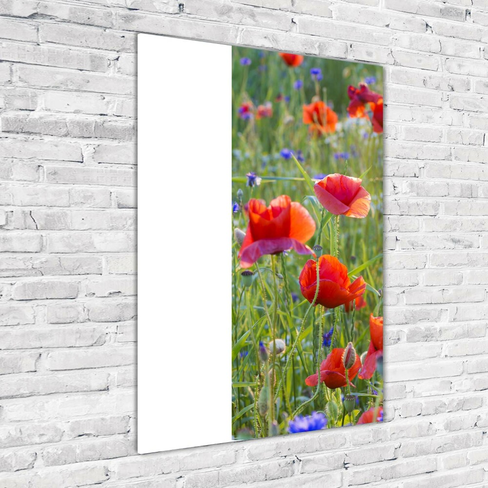 Tableau photo sur verre Fleurs de coquelicots rouges