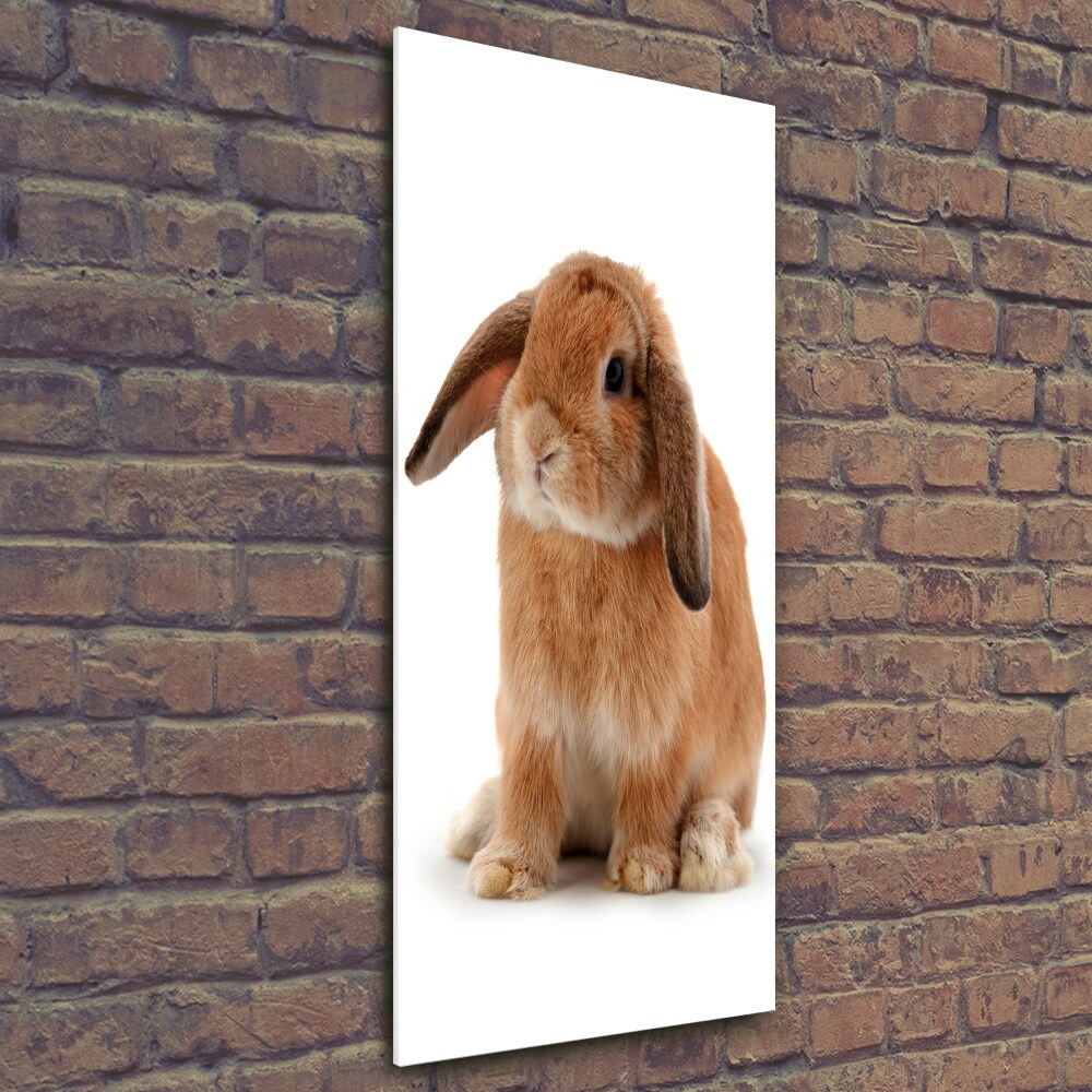 Tableau sur verre Lapin