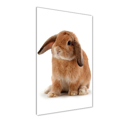 Tableau sur verre Lapin