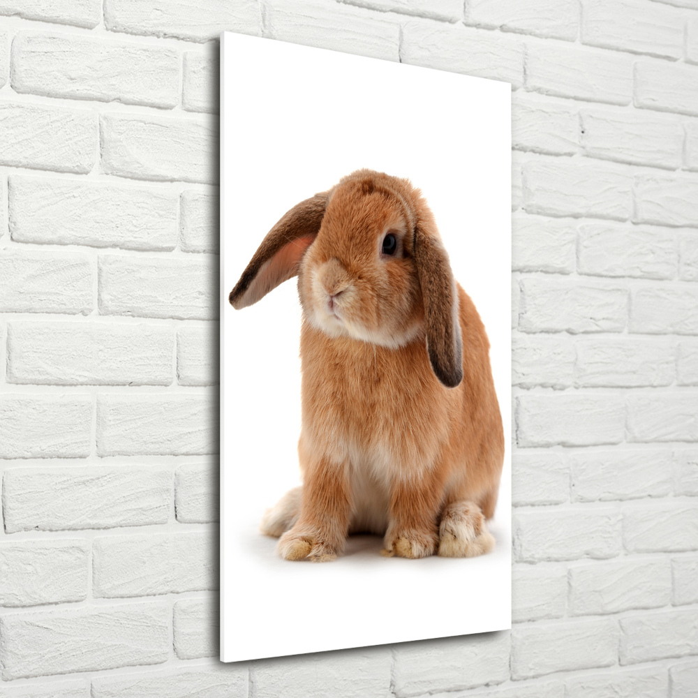 Tableau sur verre Lapin