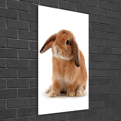 Tableau sur verre Lapin