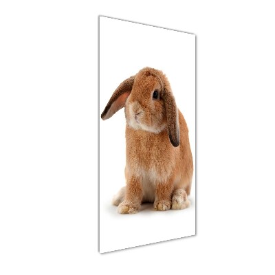 Tableau sur verre Lapin