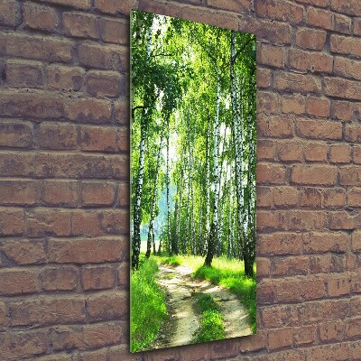 Tableau sur verre Les forêts de bouleaux