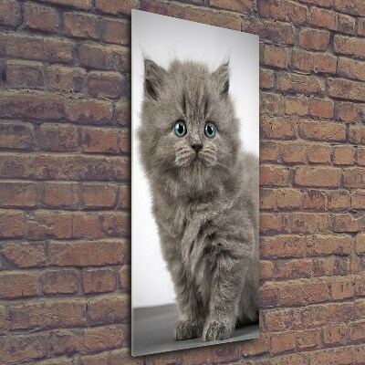 Tableau photo sur verre Chat gris britannique