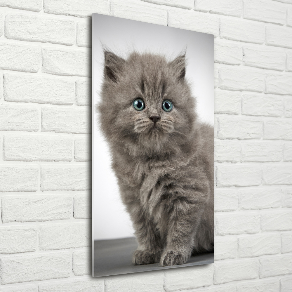 Tableau photo sur verre Chat gris britannique