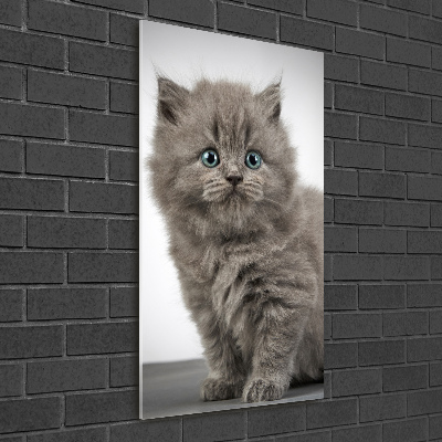 Tableau photo sur verre Chat gris britannique