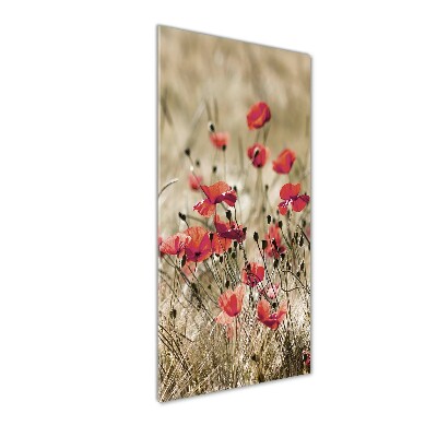 Tableau verre imprimé Fleurs des champs coquelicots rouges