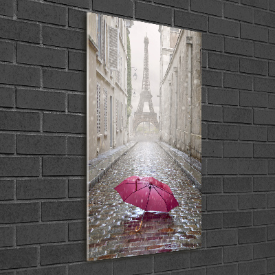 Tableau imprimé sur verre Parapluie France