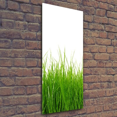 Tableau photo sur verre Herbe verte