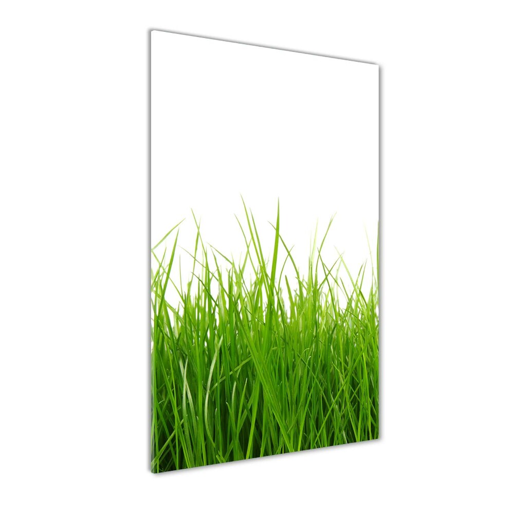 Tableau photo sur verre Herbe verte