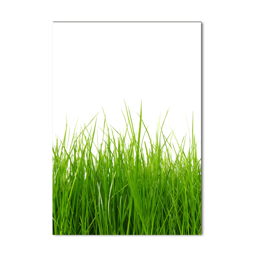 Tableau photo sur verre Herbe verte