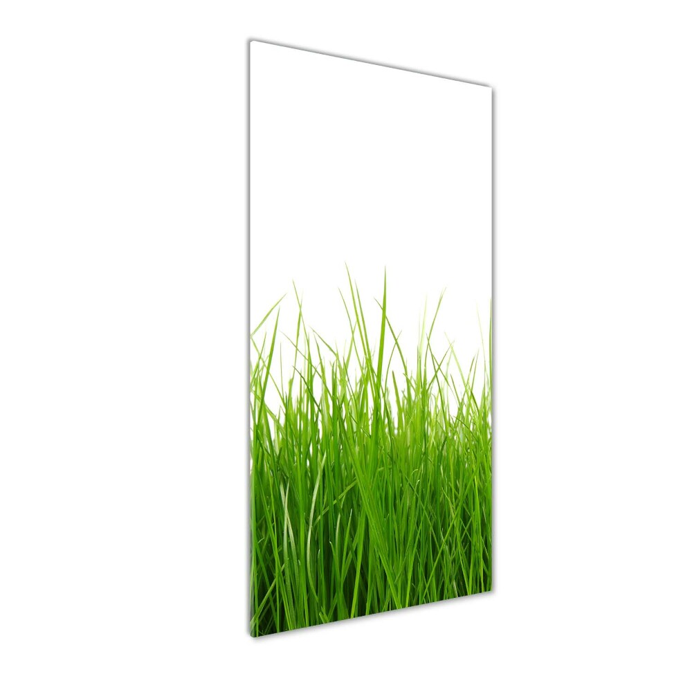 Tableau photo sur verre Herbe verte