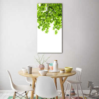 Tableau verre imprimé Couronne d'arbres