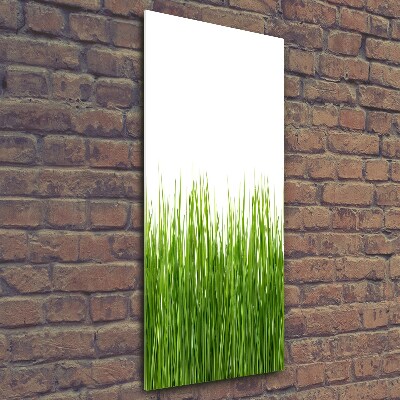 Tableau en verre Herbe verte