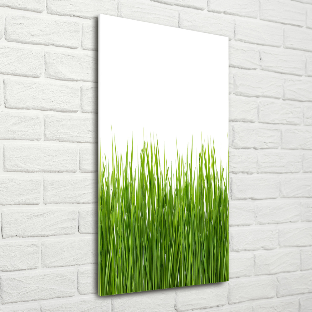 Tableau en verre Herbe verte