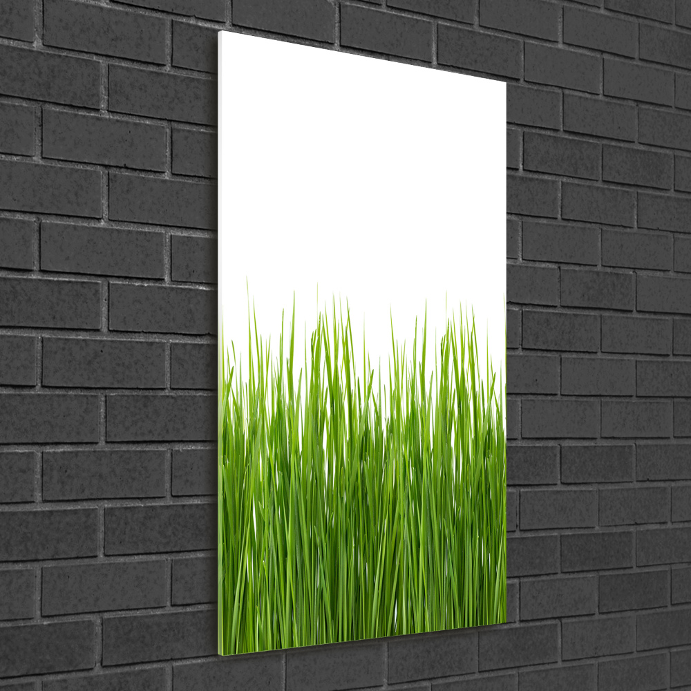 Tableau en verre Herbe verte