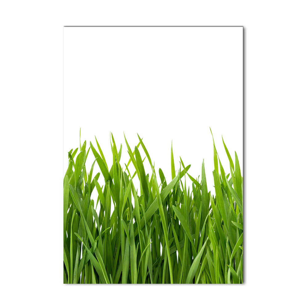 Tableau en verre Herbe verte