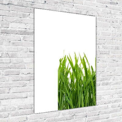 Tableau en verre Herbe verte