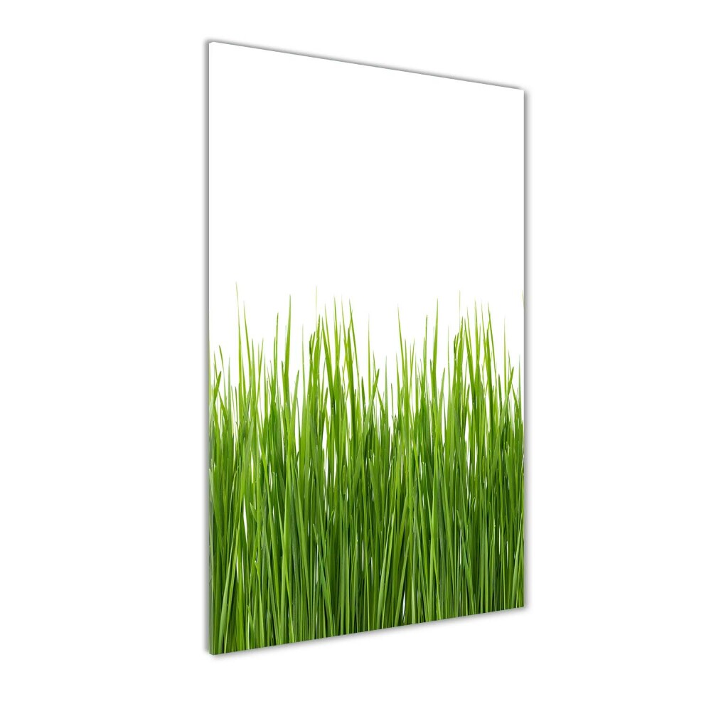 Tableau en verre Herbe verte