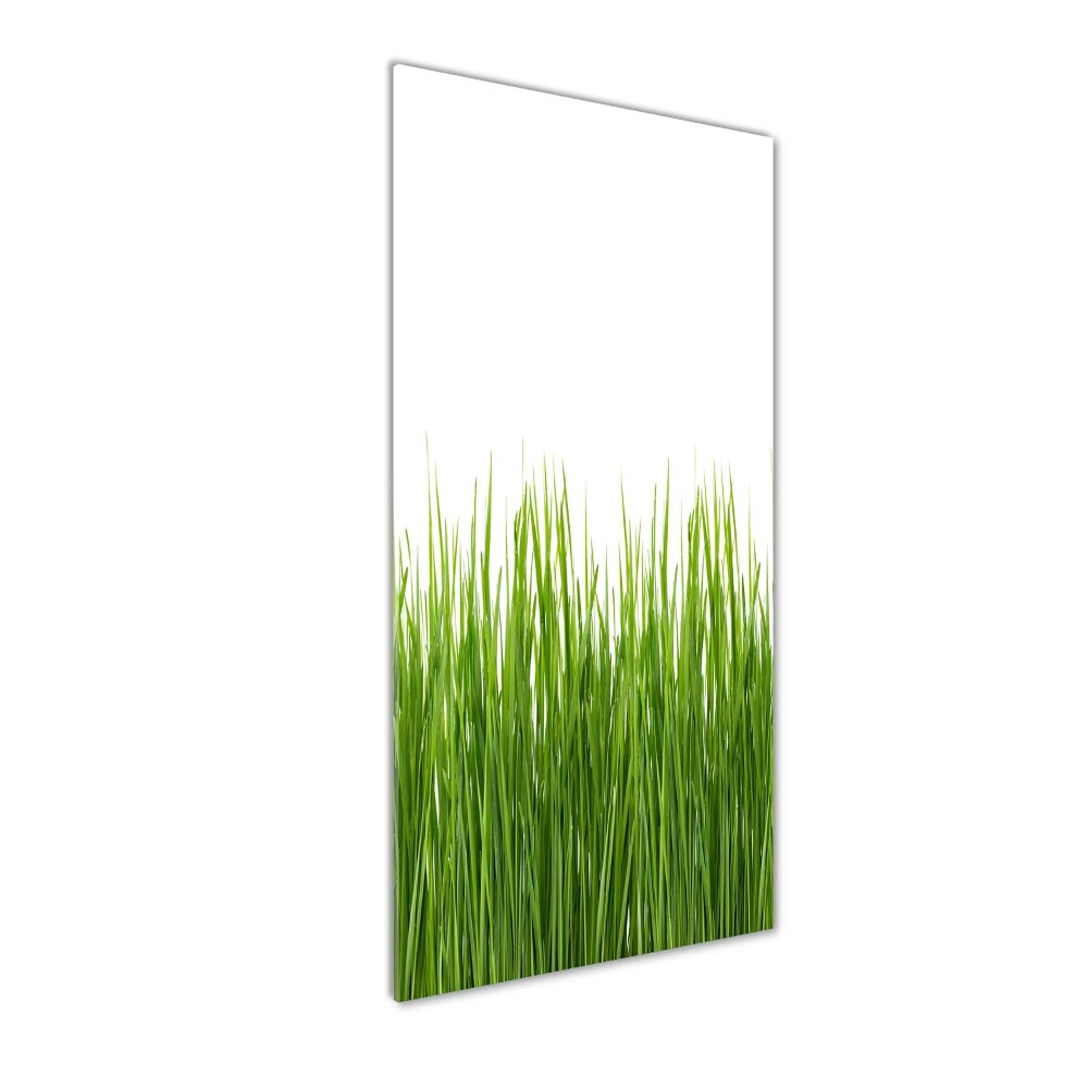 Tableau en verre Herbe verte