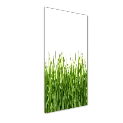 Tableau en verre Herbe verte