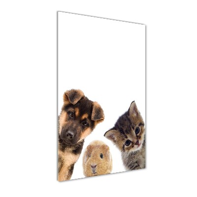 Tableau photo sur verre Animaux de compagnie