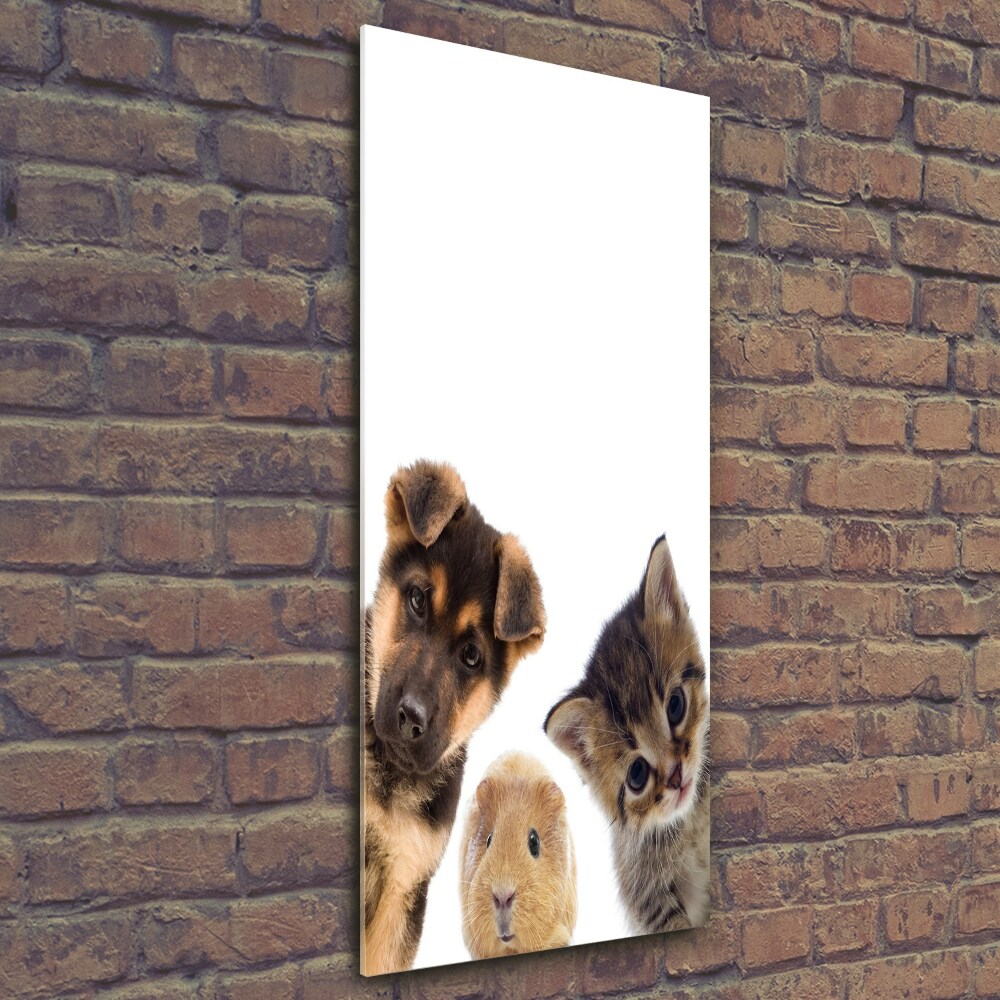 Tableau photo sur verre Animaux de compagnie