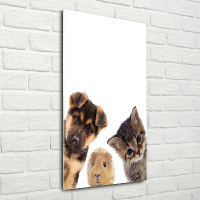 Tableau photo sur verre Animaux de compagnie