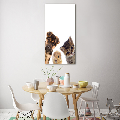 Tableau photo sur verre Animaux de compagnie