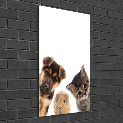 Tableau photo sur verre Animaux de compagnie