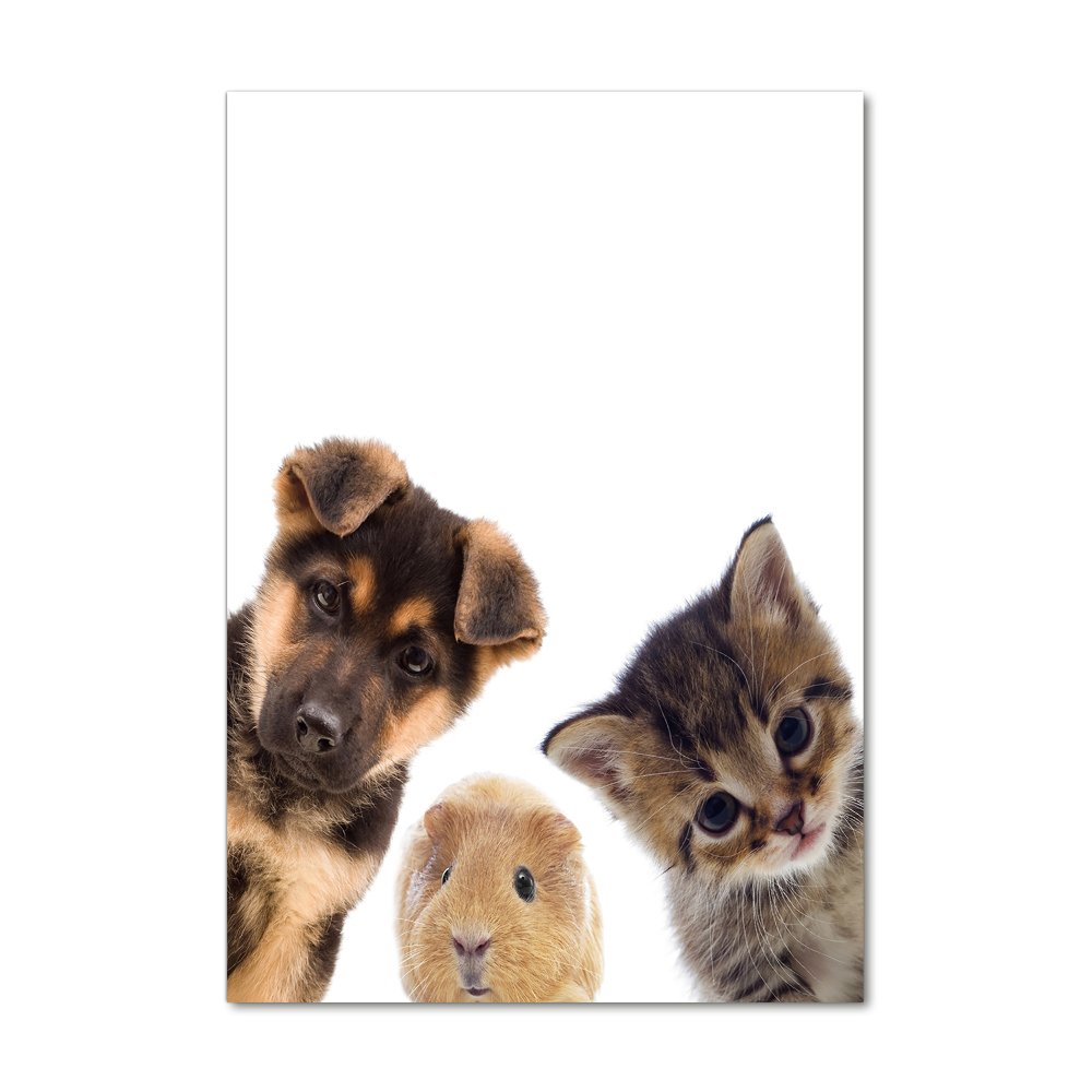 Tableau photo sur verre Animaux de compagnie