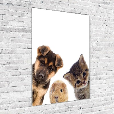 Tableau photo sur verre Animaux de compagnie