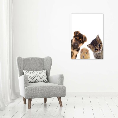 Tableau photo sur verre Animaux de compagnie