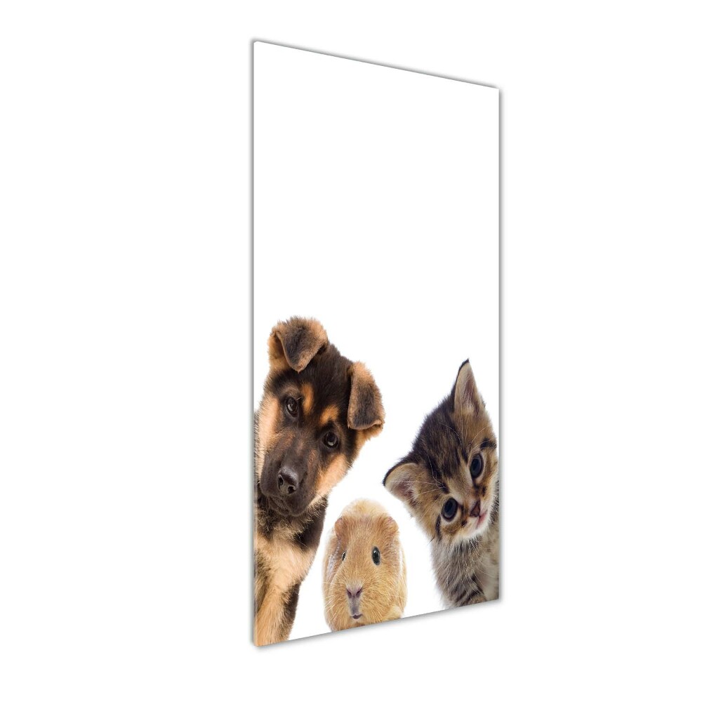 Tableau photo sur verre Animaux de compagnie