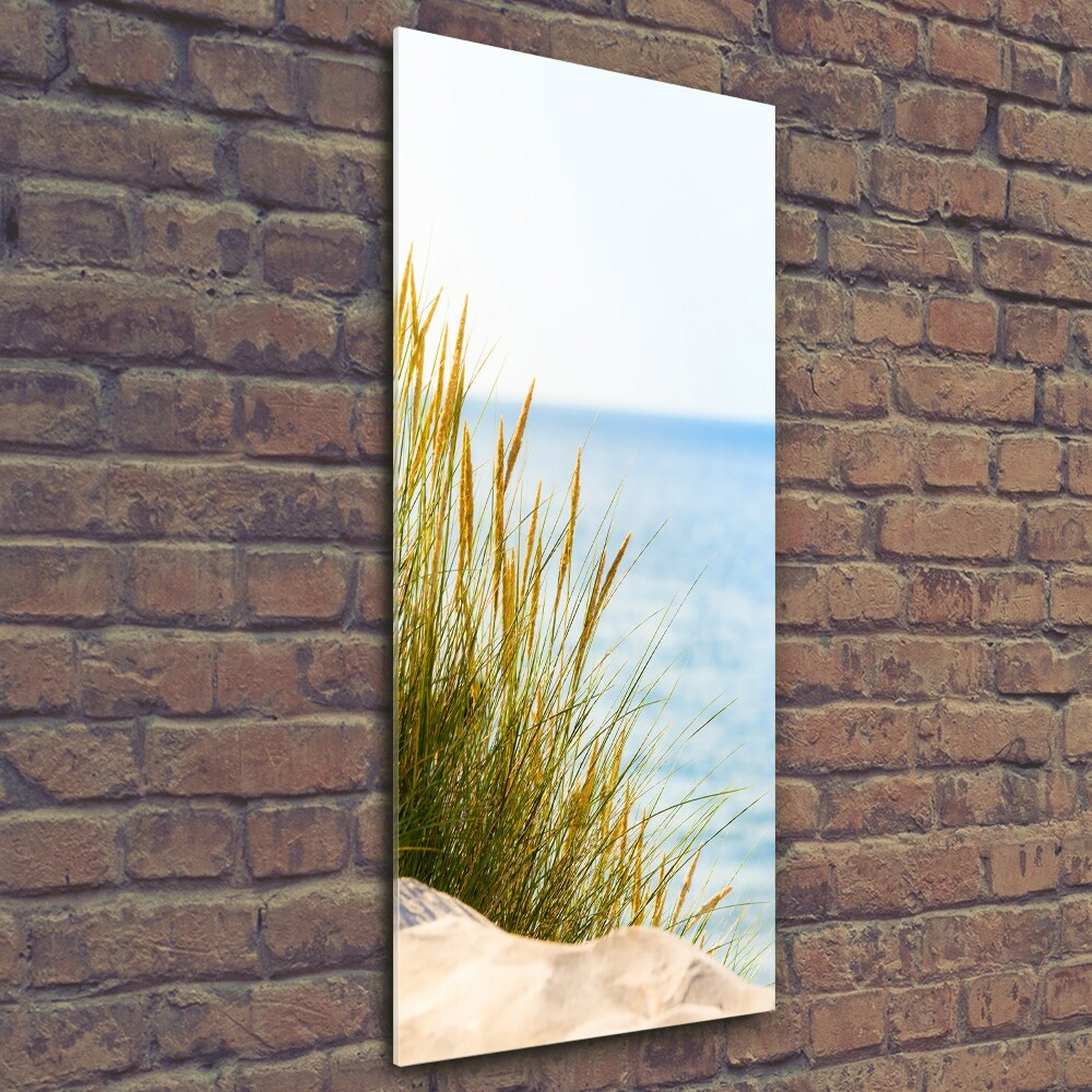 Tableau sur verre Dunes en bord de mer