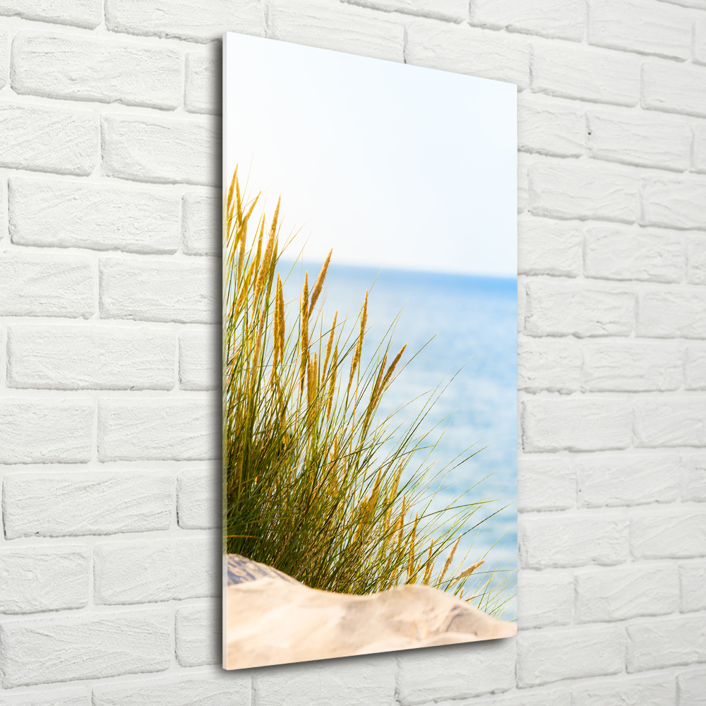 Tableau sur verre Dunes en bord de mer