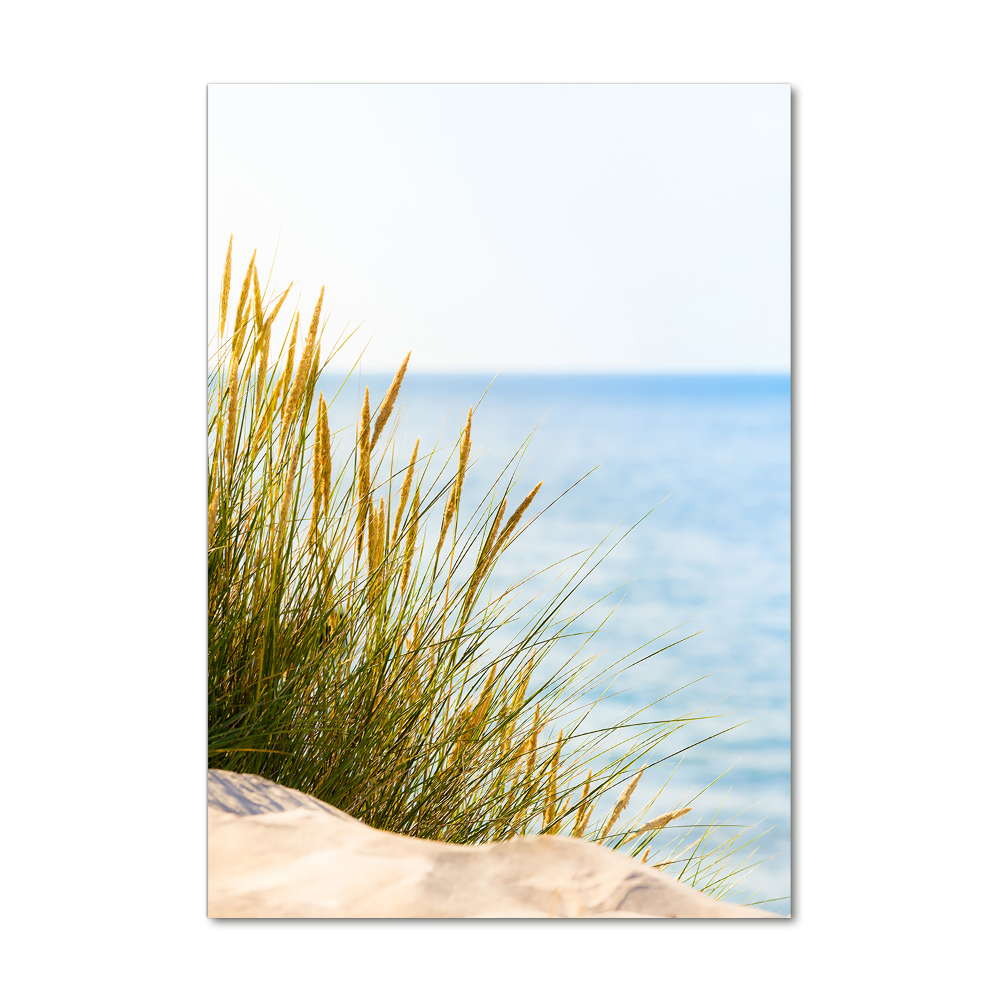 Tableau sur verre Dunes en bord de mer