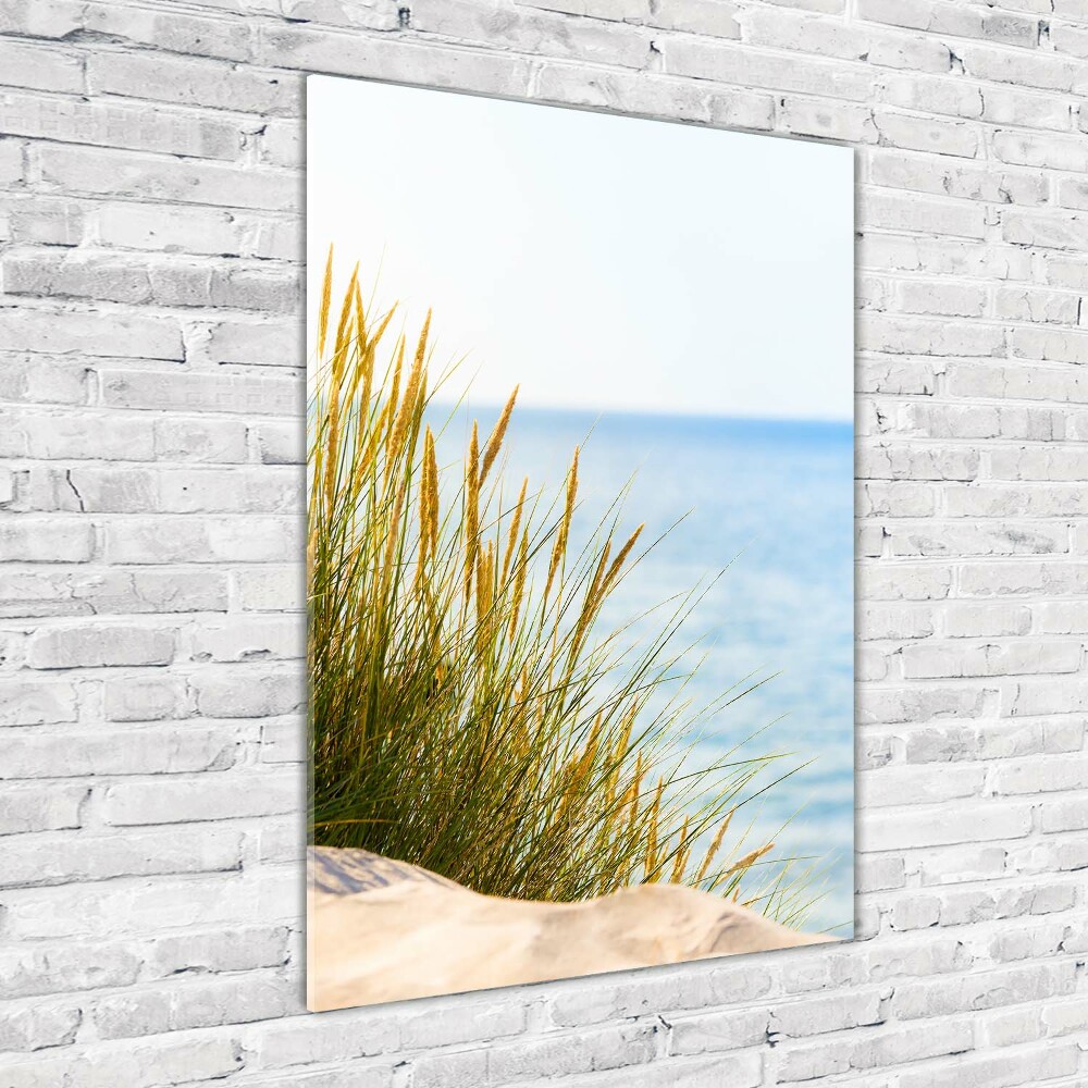 Tableau sur verre Dunes en bord de mer