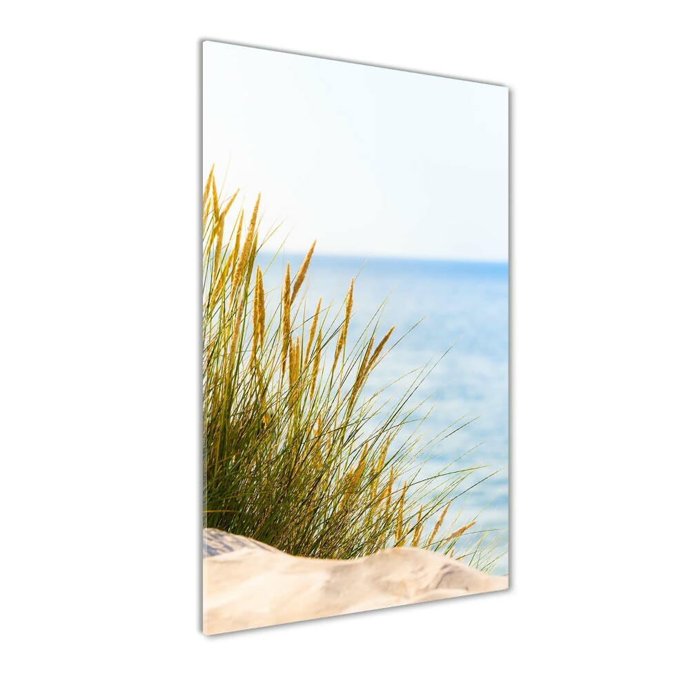 Tableau sur verre Dunes en bord de mer