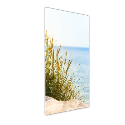 Tableau sur verre Dunes en bord de mer