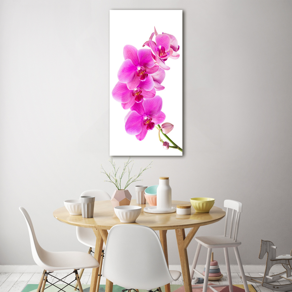 Tableau verre imprimé Orchidée rose